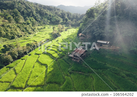 Rice terraces in rural forest with evening light,paddy field 106564202