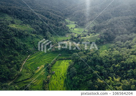 Rice terraces in rural forest with evening light,paddy field Rice terraces in rural forest with evening light,paddy field 106564204