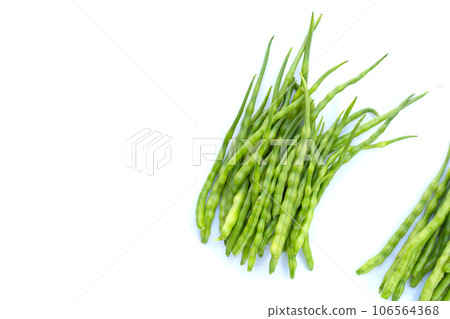 Rat-tailed radish. Fresh organic vegetables 106564368
