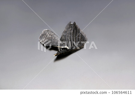 Fugu fin, black fugu fin on black background, fugu fin image 106564611