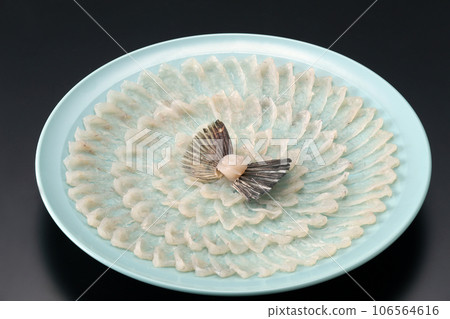 Fugu sashimi assortment image ・Fugu sashimi image with fugu fins ・Fugu sashimi assortment ・Fugu sashimi 106564616