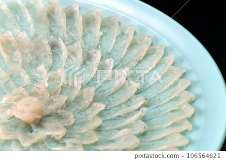 Fugu sashimi plate image, Fugu sashimi image, Fugu sashimi plate, Fugu sashimi Fugu sashimi plate image, Fugu sashimi image, Fugu sashimi plate, Fugu sashimi 106564621