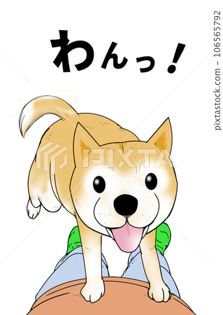 Shiba Inu dog dog! Pet walk owner Shiba Inu dog dog! Pet walk owner 106565792