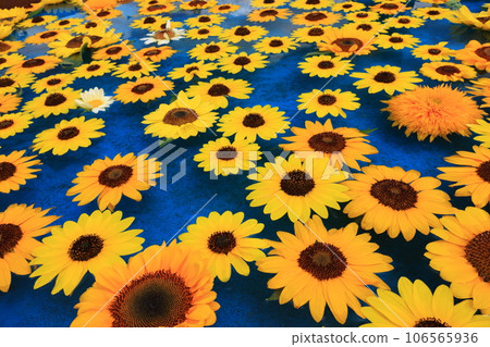 向日葵5898 106565936