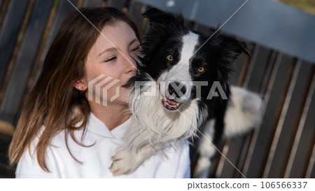 Caucasian woman hugging her dog Border Collie while sitting on a bench in autumn park. Caucasian woman hugging her dog Border Collie while sitting on a bench in autumn park. 106566337