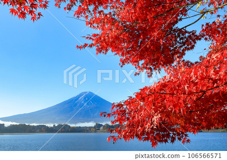 山梨縣河口湖町錦州河口湖畔的富士山楓葉 山梨縣河口湖町錦州河口湖畔的富士山楓葉 106566571