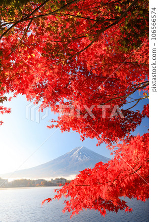 山梨縣河口湖町錦州河口湖畔的富士山楓葉 山梨縣河口湖町錦州河口湖畔的富士山楓葉 106566574