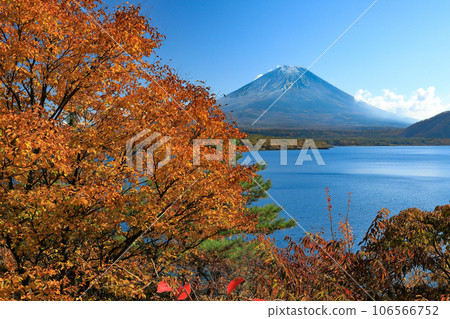秋天從山梨縣本栖湖看到的富士山 106566752