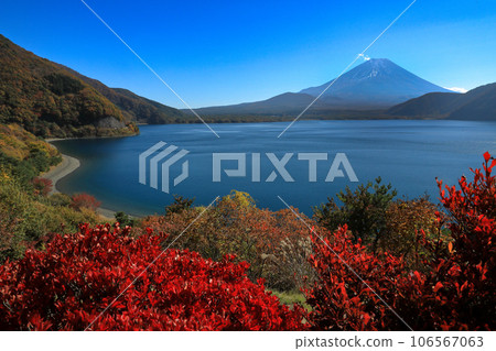 Mt. Fuji seen from Lake Motosu in its autumn leaves, Yamanashi Prefecture Mt. Fuji seen from Lake Motosu in its autumn leaves, Yamanashi Prefecture 106567063
