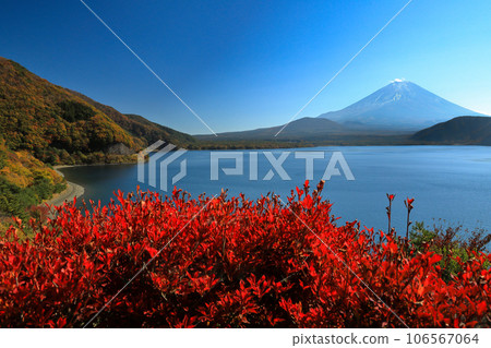 Mt. Fuji seen from Lake Motosu in its autumn leaves, Yamanashi Prefecture Mt. Fuji seen from Lake Motosu in its autumn leaves, Yamanashi Prefecture 106567064