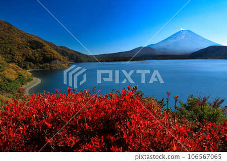 Mt. Fuji seen from Lake Motosu in its autumn leaves, Yamanashi Prefecture Mt. Fuji seen from Lake Motosu in its autumn leaves, Yamanashi Prefecture 106567065