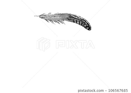 木刻版畫中描繪的羽毛在空中輕輕飛舞 106567685