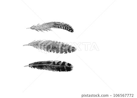 Three delicate and beautiful feathers drawn with woodblock prints 106567772