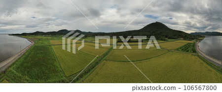 山陰海岸國立公園、收穫前的稻田和兜山，無人機全景攝影 106567800