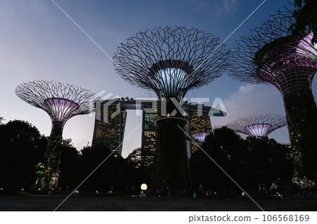 The Supertree at Gardens by the Bay The Supertree at Gardens by the Bay 106568169