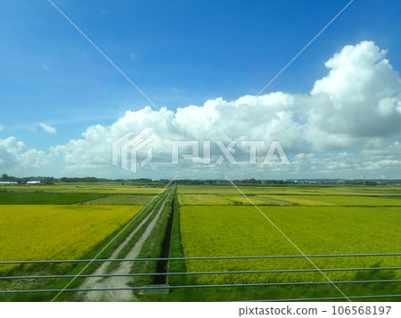 Rural scenery in Chiba 106568197