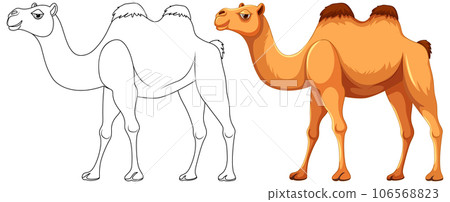 Camel Walking Outline Camel Walking Outline 106568823