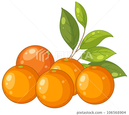 Fresh Oranges with Leaves Illustration Fresh Oranges with Leaves Illustration 106568904