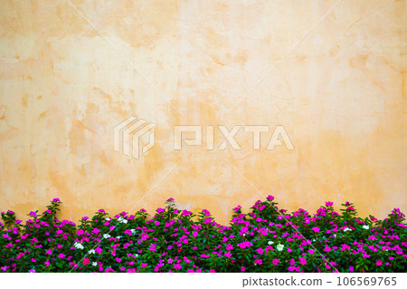 Beautiful flowers garden with concrete wall background 106569765
