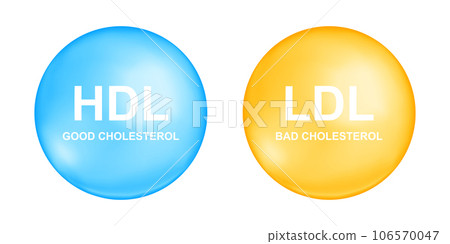 HDL and LDL cholesterol types in blue and yellow ball shapes. Good and bad cholesterin concept. High and low density, lipoprotein icons isolated on white background HDL and LDL cholesterol types in blue and yellow ball shapes. Good and bad cholesterin concept. High and low density, lipoprotein icons isolated on white background 106570047