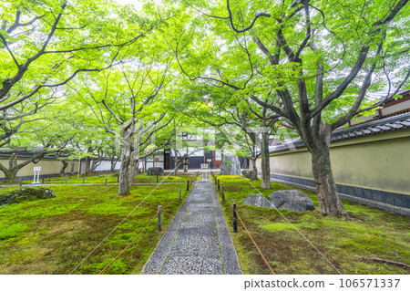 京都紫野大德寺小梅院，正門內的苔蘚花園 106571337
