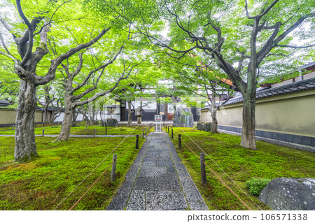 京都紫野大德寺小梅院，正門內的苔蘚花園 106571338