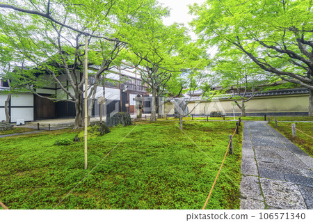 Kyoto, Murasaki, Daitokuji, Obai-in, moss garden, warehouse 106571340