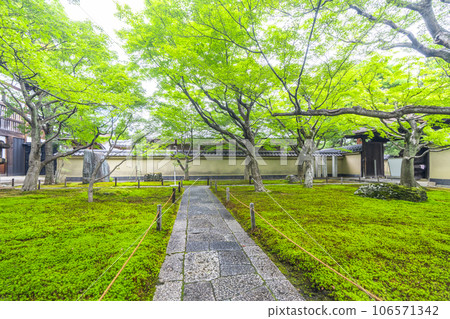 Kyoto Murasakino Daitokuji Kobaiin Moss Garden Kyoto Murasakino Daitokuji Kobaiin Moss Garden 106571342