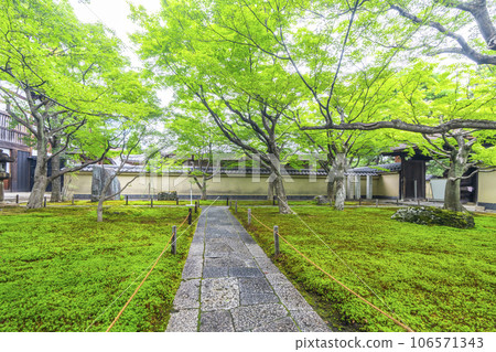 京都紫野大德寺小梅院苔蘚花園 106571343