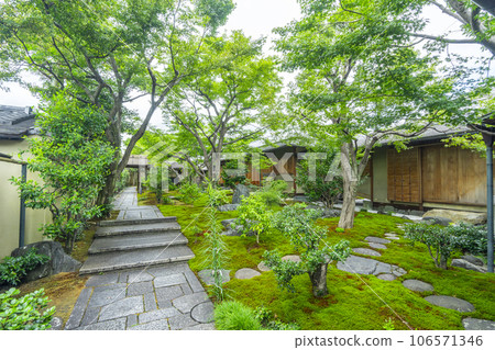 京都紫野大德寺小梅院苔蘚花園 106571346