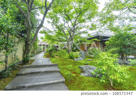 京都紫野大德寺小梅院苔蘚花園 106571347
