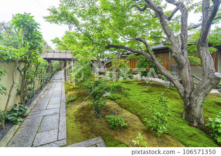 Kyoto Murasakino Daitokuji Kobaiin Moss Garden 106571350