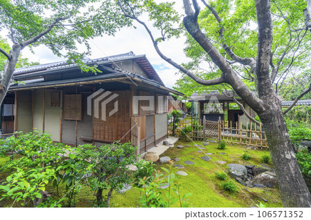 京都紫野大德寺小梅院苔蘚花園和茶室 106571352