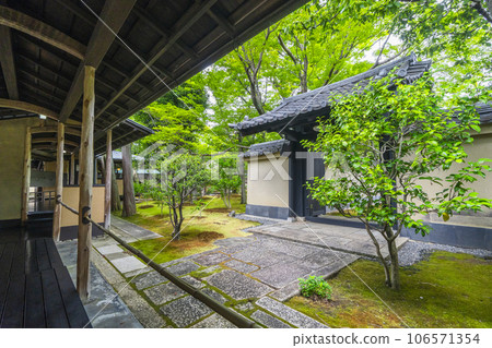 京都紫野大德寺小梅院苔蘚花園 京都紫野大德寺小梅院苔蘚花園 106571354