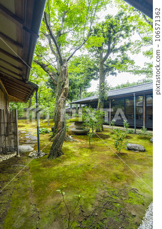 Kyoto Murasakino Daitokuji Koubai-in Direct courtyard 106571362