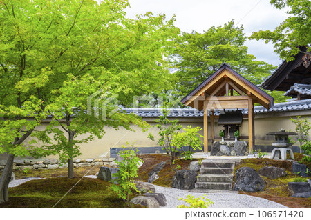 京都紫野大德寺小梅院雲池亭鎮樹社 106571420