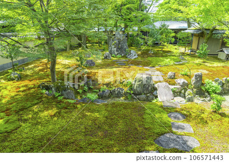 京都、紫咲、大德寺禦梅院、直接庭院 106571443