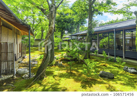 京都、紫咲、大德寺禦梅院、直接庭院 106571456