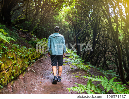 Adult male wandering on a path through the deep rain forest of Madeira Portugal. Generated AI 106571587