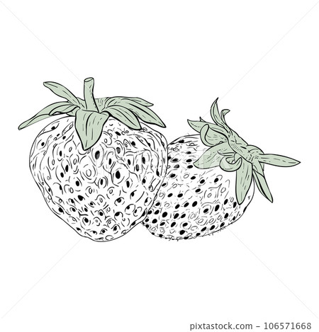 Vector drawing of Strawberries berries hand drawn, isolated vector illustration. Fresh berries sketch for packaging design, sticker, book, invitation and logo design. Organic food template for menu 106571668