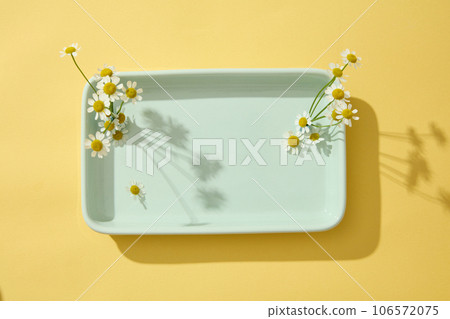 A dish in pastel color containing Chamomilla flowers isolated on yellow background. Blank space can be used to promote beauty product of Chamomilla (Matricaria chamomilla) extract 106572075