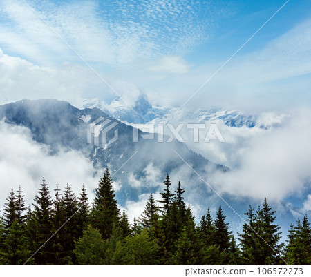 Mont Blanc mountain massif (view from Plaine Joux outskirts) 106572273