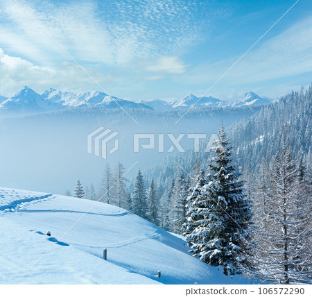 Morning winter misty mountain landscape 106572290