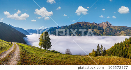 Misty autumn morning mountain and big lonely tree view from hiking path near Dorfgastein, Land Salzburg, Austria. 106572377