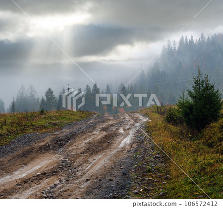 Hazy and overcast early morning in autumn Carpathian Mountains and dirty countryside path, Ukraine. 106572412