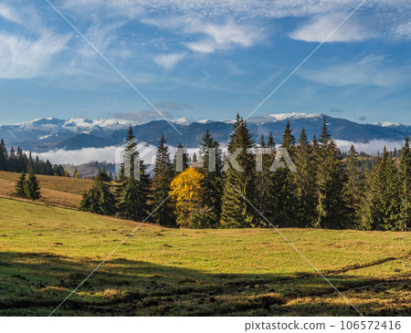 Late autumn mountain morning scene with snow covered tops in far and foggy clouds in valleys. Picturesque traveling, seasonal, nature and countryside beauty concept scene. Carpathians, Ukraine. 106572416