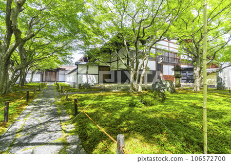 Daitokuji Obai-in, moss garden, Karamon gate and warehouse, fresh green season Daitokuji Obai-in, moss garden, Karamon gate and warehouse, fresh green season 106572700