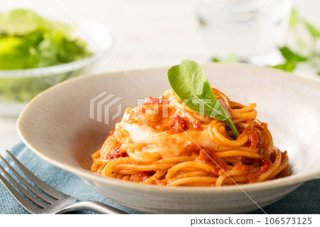 Spaghetti with stringy mozzarella and tomato sauce Spaghetti with stringy mozzarella and tomato sauce 106573125