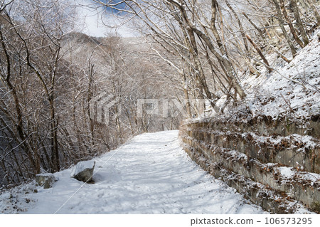 mountain road covered with snow 106573295