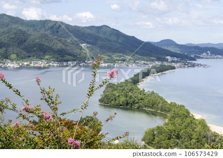 Amanohashidate View Land Crape Myrtle Flower 106573429